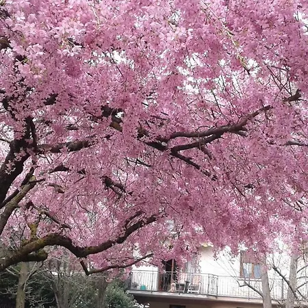 Shabby House Donatella Apartamento