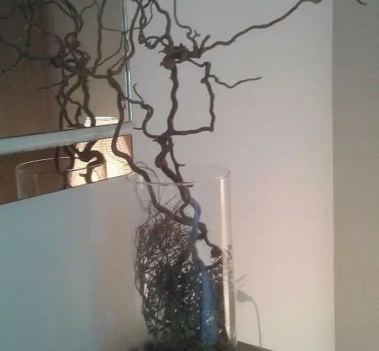 Shabby House Donatella *